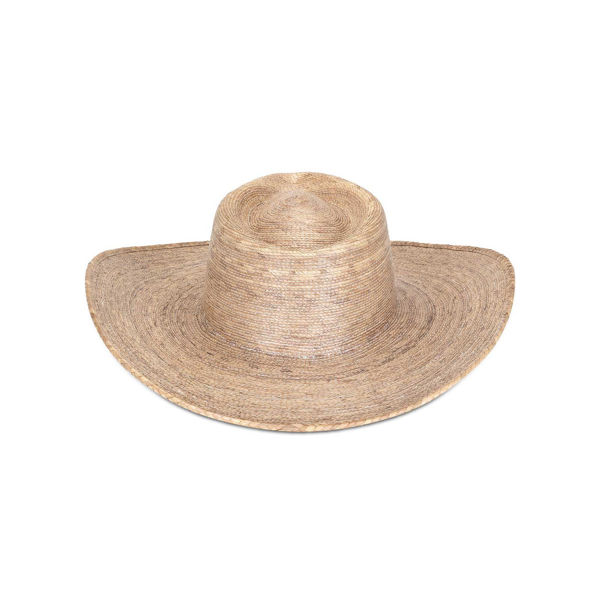the-beau-western-sepia-isolate 