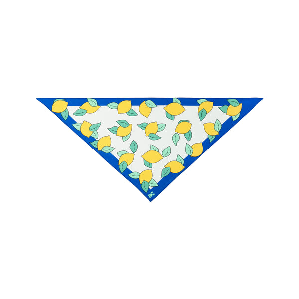 Hat Scarf Pack - Other in Blue